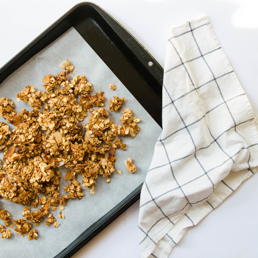 Toasted Coconut Granola Clusters